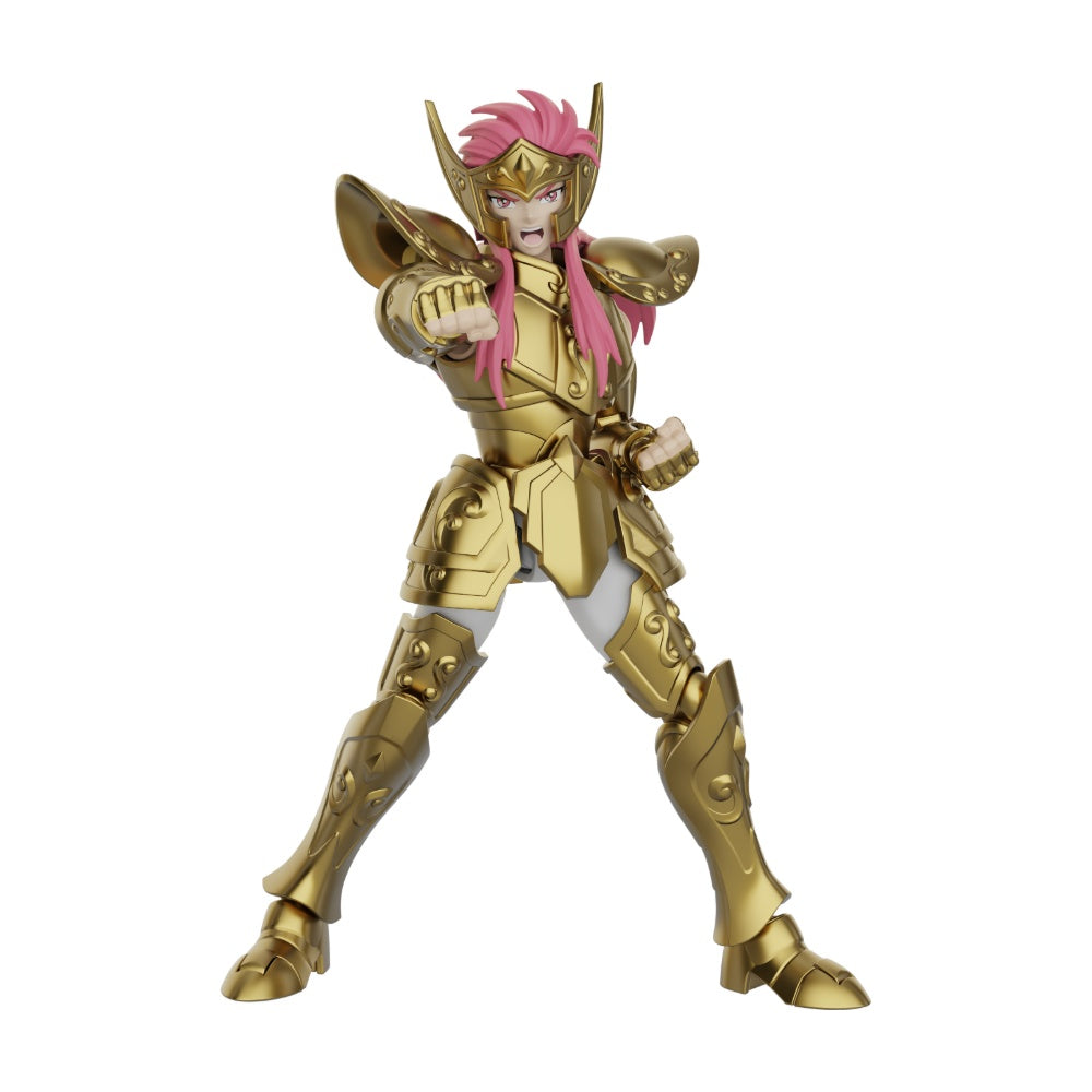 Blokees Saint Seiya Champion Aquarius Collector - foto 1